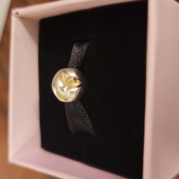 Pandora Apple of My Eye charm with 14k gold leaves - Picture 3 of 4
